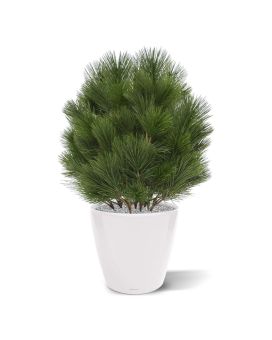 Pinus bol kunstplant 60cm - UV bestendig