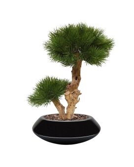 Pinus Bonsai kunstboom op voet 55cm - UV bestendig