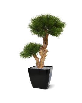 Pinus Bonsai kunstboom op voet 55cm