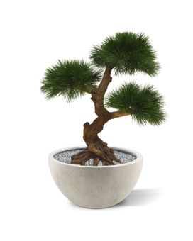 Pinus kunstbonsai 3 bollen 60cm - UV bestendig