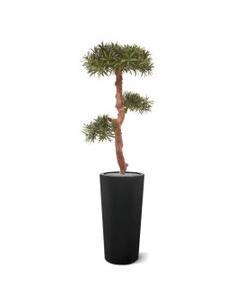 Podocarpus Bonsai kunstboom 105 cm - UV bestendig