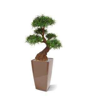 Podocarpus Bonsai kunstplant 90cm - UV bestendig