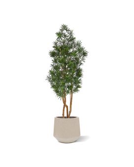 Podocarpus Kunstboom 150cm UV bestendig