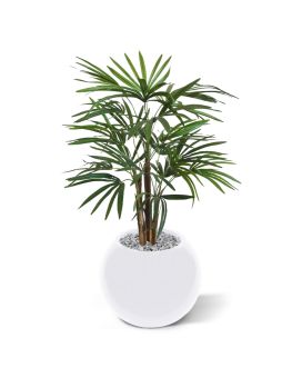 Raphis kunstpalm 75cm