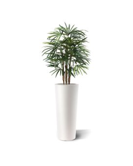 Raphis deluxe kunstpalm 100cm