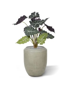 Red Alocasia kunstplant 65cm