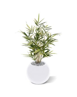 Royal Bamboe kunstplant 70cm - bont