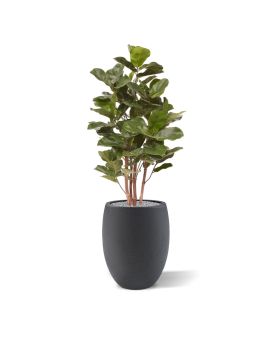 Royal Lyrata kunstplant 105 cm