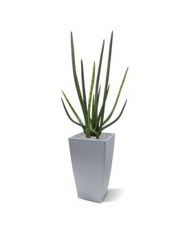 Sanseveria Cylindrica kunstplant 75cm - groen