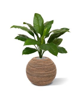 Spathiphyllum King kunstplant 80cm - groen
