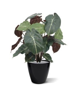 Syngonium kunstplant 60cm