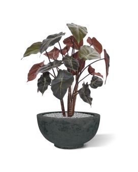 Syngonium kunstplant op hout 60cm