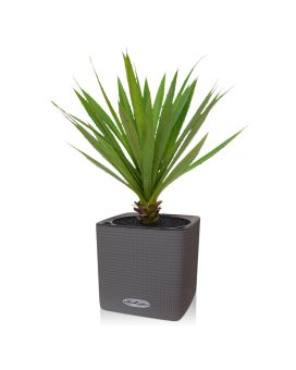 Yucca kunstplant 40cm