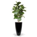 Lyrata deluxe kunstboom 170cm FR