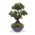 Panda Bonsai kunstboom op voet 70cm