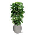 Schefflera kolom kunstplant 120cm