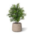 Eucalyptus kunstplant 30cm - UV bestendig