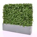 Hedera kunstheg 80x25x56cm - UV bestendig