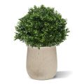 Buxus bol deluxe kunstplant N 40cm - UV bestendig