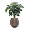 Monstera Giant kunstplant - 100cm