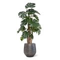 Monstera deluxe x5 kunstplant - 180cm