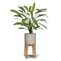 Calathea 75cm Kunstplant groen