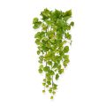 Populier kunst hangplant 65cm
