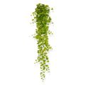 Populier kunst hangplant 170cm