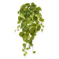 Pothos kunst hangplant 55cm - bont