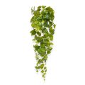 Pothos kunsthanger 90cm - bont