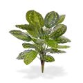 Calathea Roseopicta kunstplant 65 cm boeket