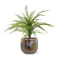 Asplenium Varen kunstplant 45cm