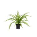 Asplenium Varen kunstplant 45cm