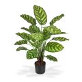Calathea Makoyana kunstplant 60cm