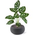 Monstera Adonsonii kunstplant 40cm