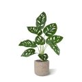Monstera Adonsonii kunstplant 40cm in pot
