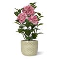 Hortensia Kunstplant in pot 65cm Roze