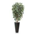 Ficus Exotica deluxe kunstboom 150cm - bont