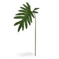 Philo Xanadu blad 55 cm