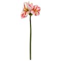 Amaryllis Kunstbloem 67cm Wit Rood