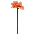 Amaryllis Kunstbloem 67cm Zalm