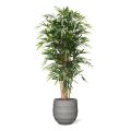 Bamboe deluxe kunstplant 180cm
