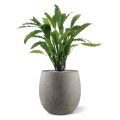 Calathea kunstplant 60cm - groen