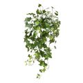Hedera kunst hangplant 65cm - UV bestendig