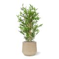 Japanse Bamboe kunstboom 90cm - UV bestendig