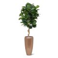 Lyrata deluxe kunstplant 155cm
