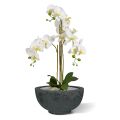 Phalaenopsis kunst Orchidee 75cm wit