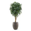 Acer kunstplant 160cm - groen
