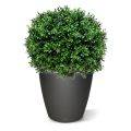 Buxus bal deluxe kunstplant N 60cm - UV bestendig