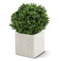 Buxus bol deluxe kunstplant 50cm - UV bestendig